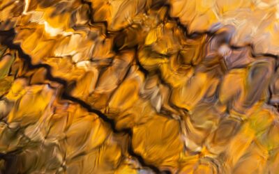 Nieuwe regels liquidatiereserves